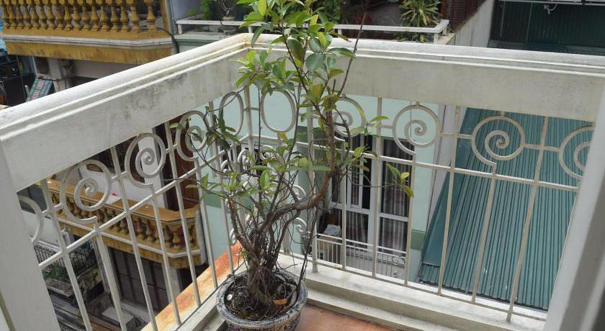 Hanoi Massive Hostel Εξωτερικό φωτογραφία